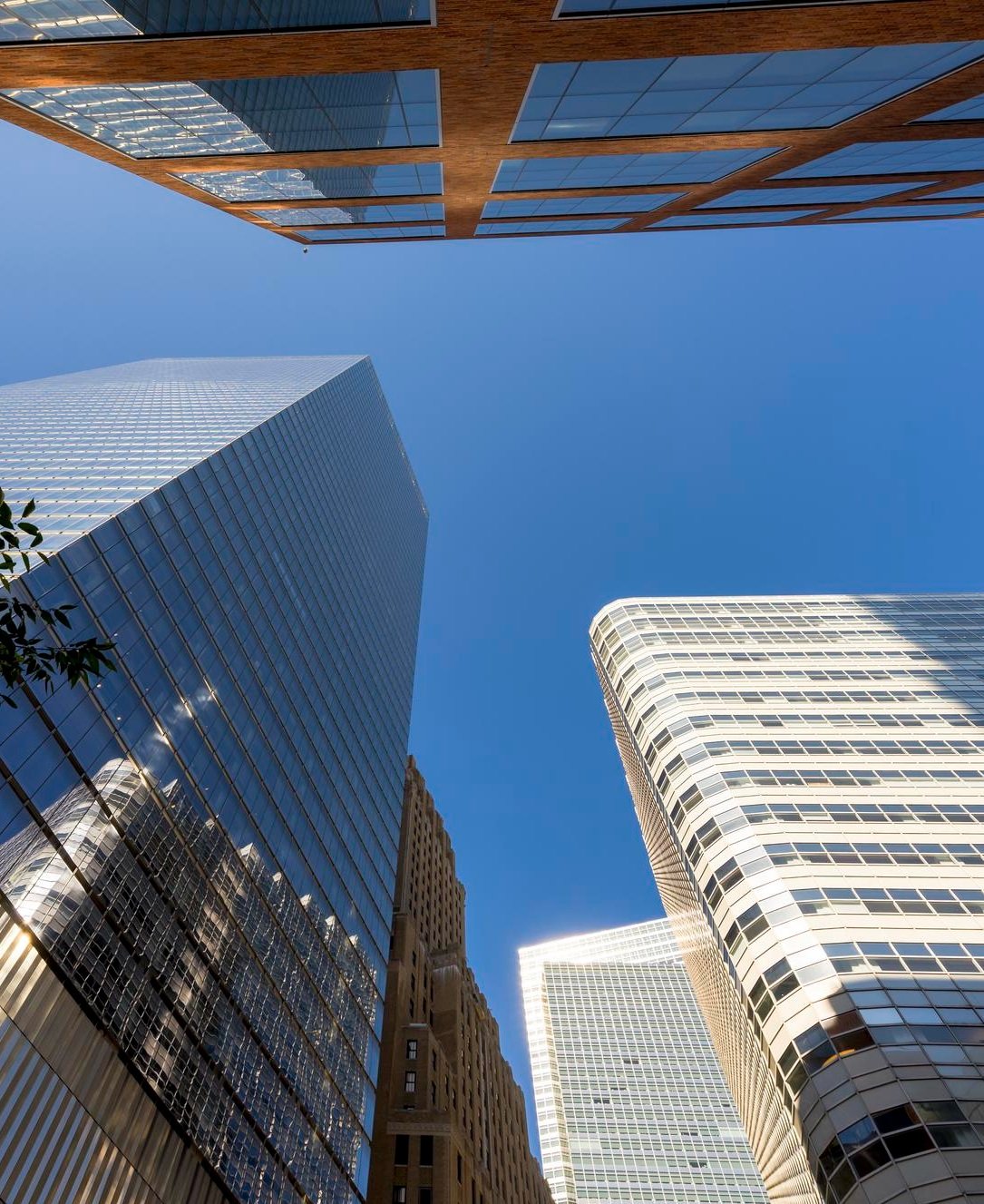 Direito Empresarial - Leonardo Siqueira Advocacia